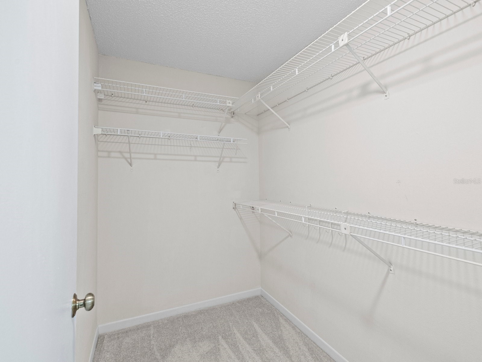 1880 Whispering Way Tarpon Springs FL 34689 TB8478287 image19
