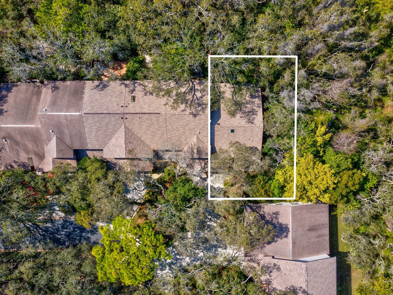 1880 Whispering Way Tarpon Springs FL 34689 TB8478287 image33
