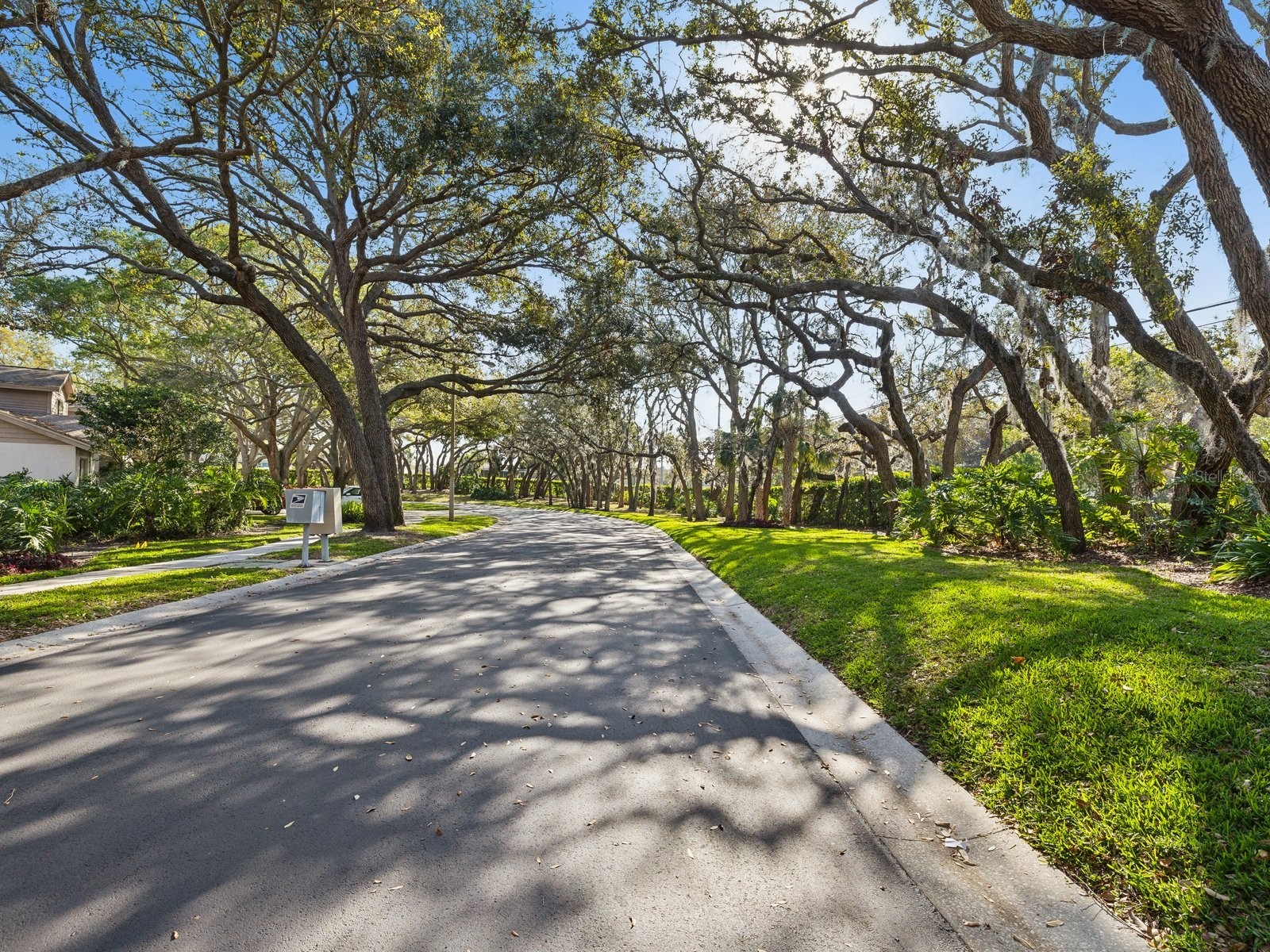1880 Whispering Way Tarpon Springs FL 34689 TB8478287 image34