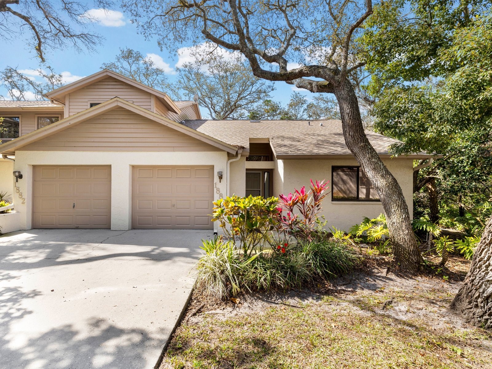 1880 Whispering Way Tarpon Springs FL 34689 TB8478287 image35