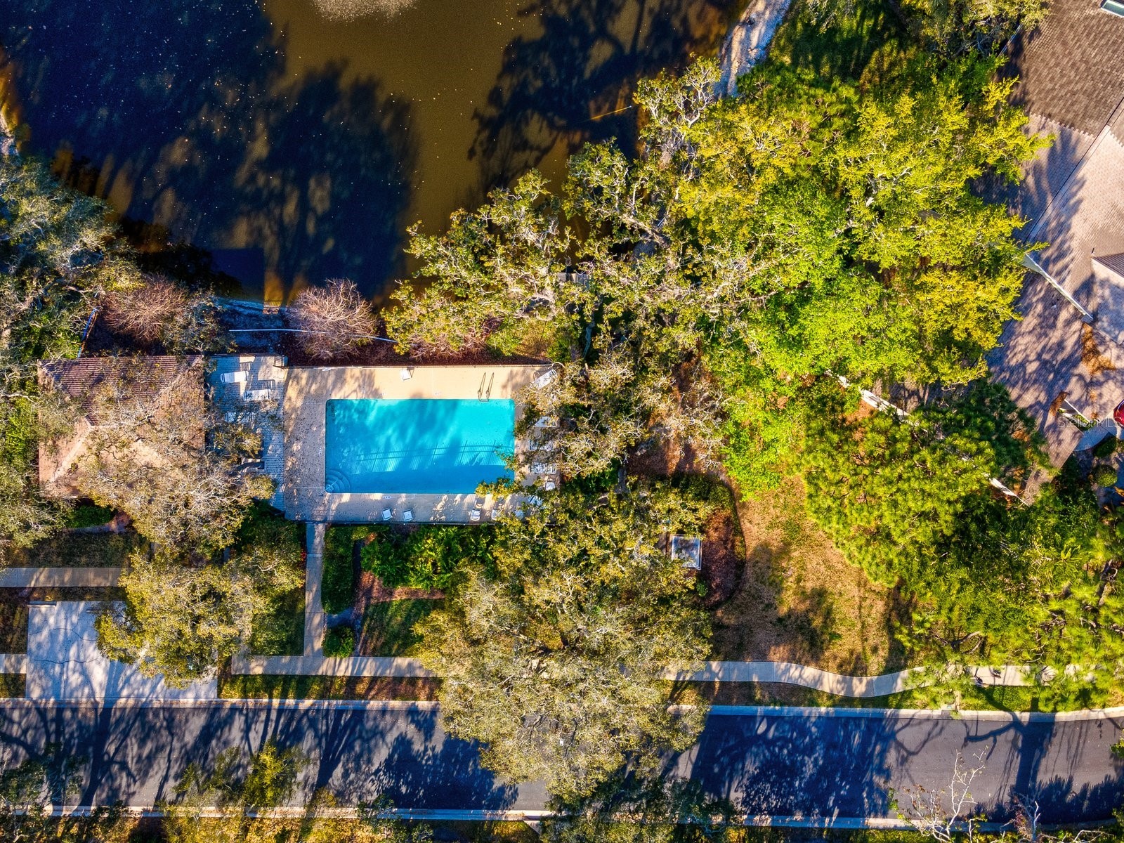 1880 Whispering Way Tarpon Springs FL 34689 TB8478287 image38