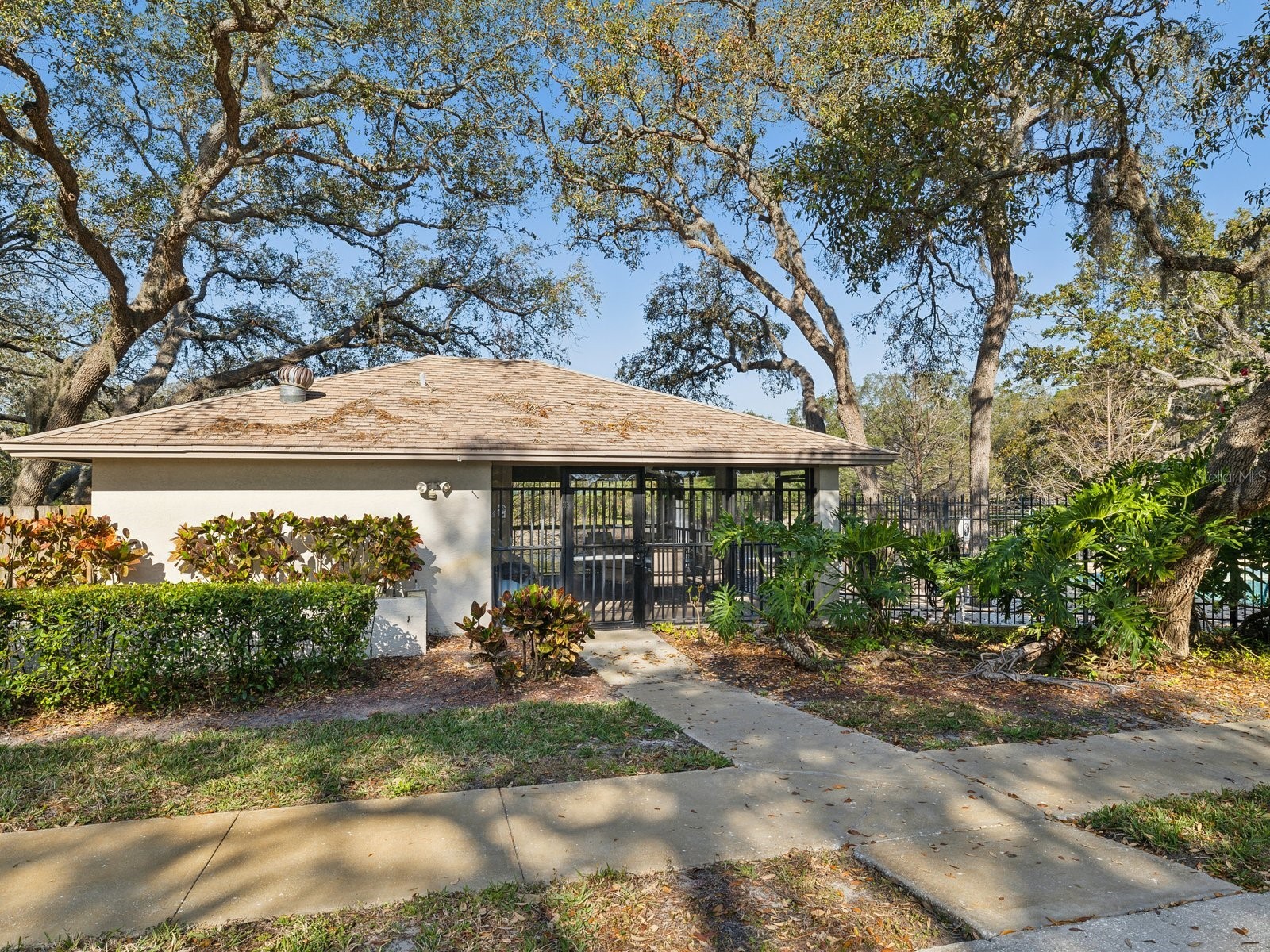 1880 Whispering Way Tarpon Springs FL 34689 TB8478287 image39