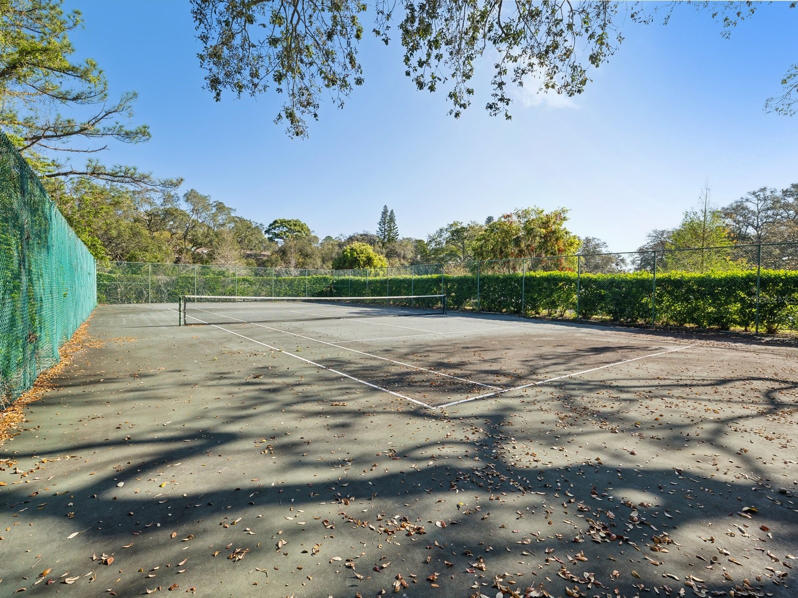 1880 Whispering Way Tarpon Springs FL 34689 TB8478287 image40