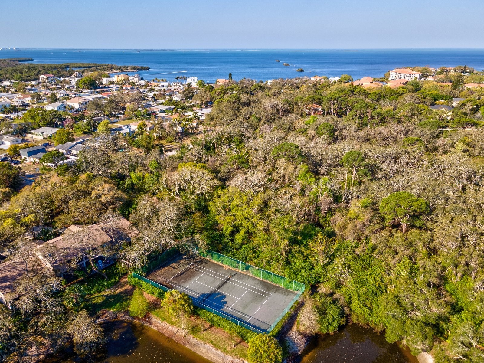 1880 Whispering Way Tarpon Springs FL 34689 TB8478287 image41