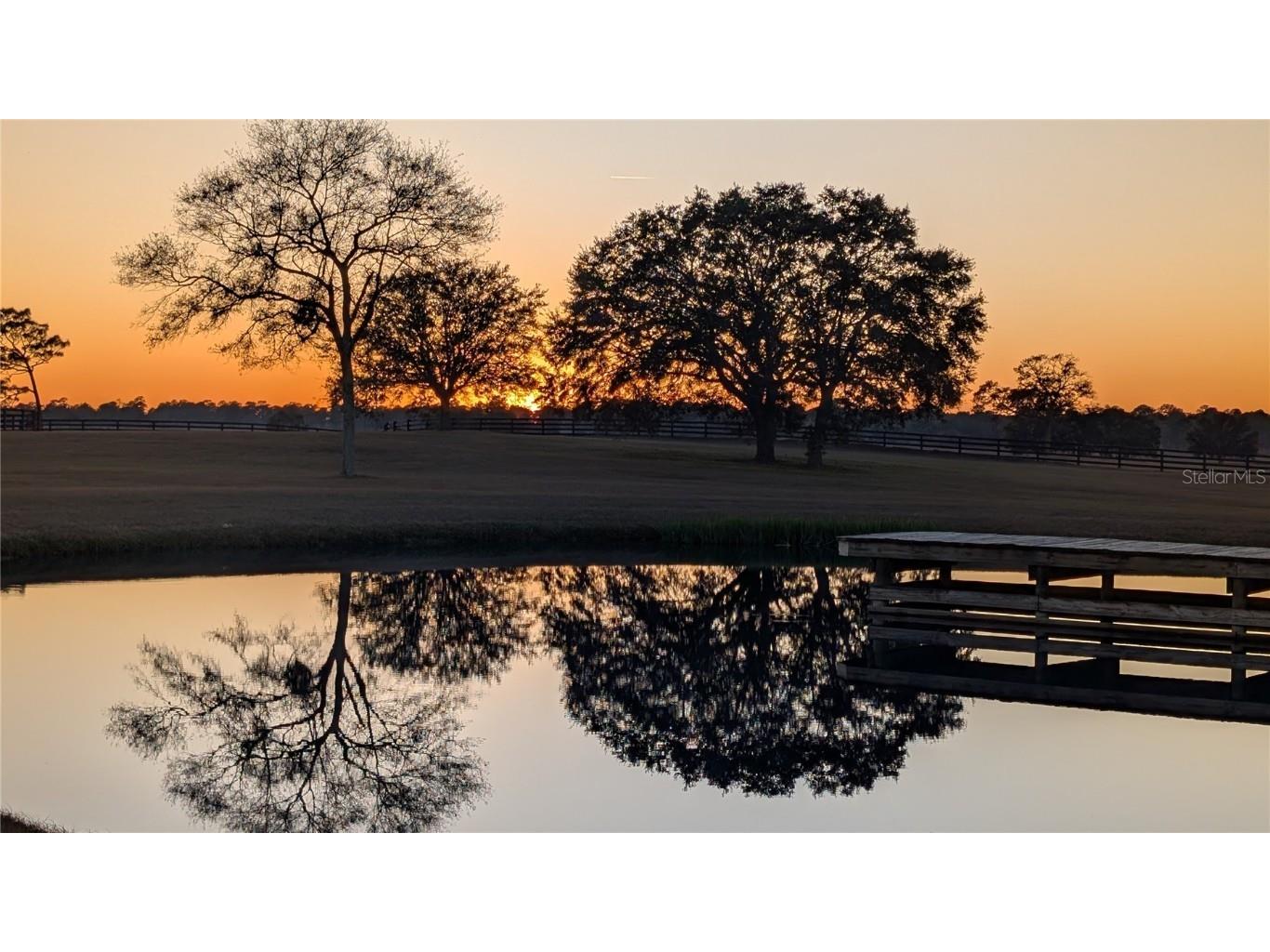 18800 SE 47th Place Morriston FL 32668 OM712721 image30