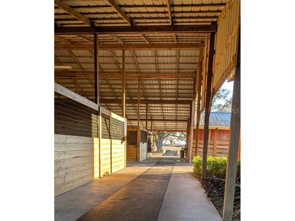 18800 SE 47th Place Morriston FL 32668 OM712721 image8