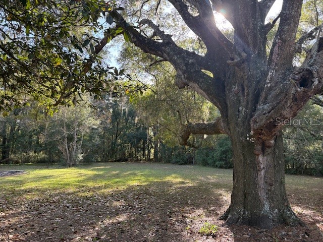 18800 SW 31st Street Dunnellon FL 34432 OM713825 image20