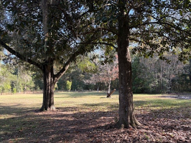 18800 SW 31st Street Dunnellon FL 34432 OM713825 image21