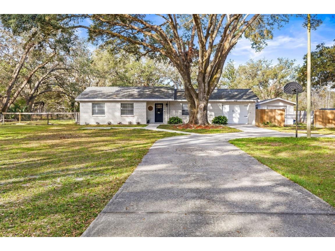 18802 Carr Drive Lutz FL 33559 TB8353498 image1
