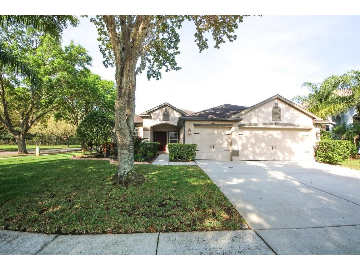 18802 Chopin Drive Lutz FL 33558 W7853172 image1