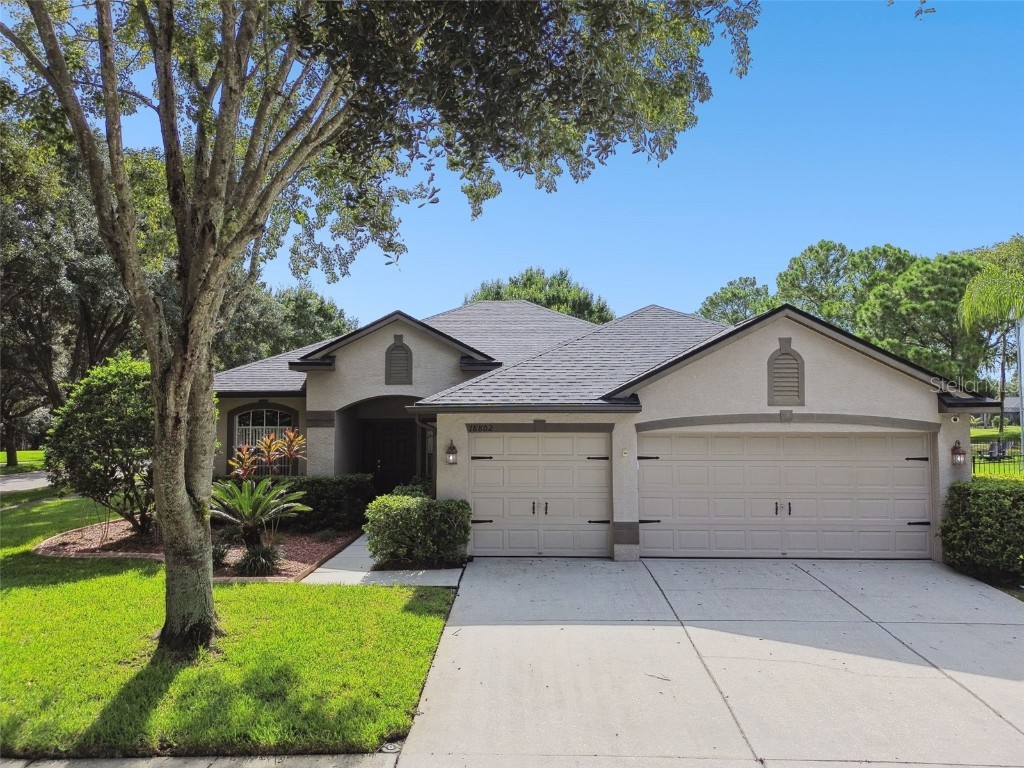 18802 Chopin Drive Lutz FL 33558 W7867464 image1