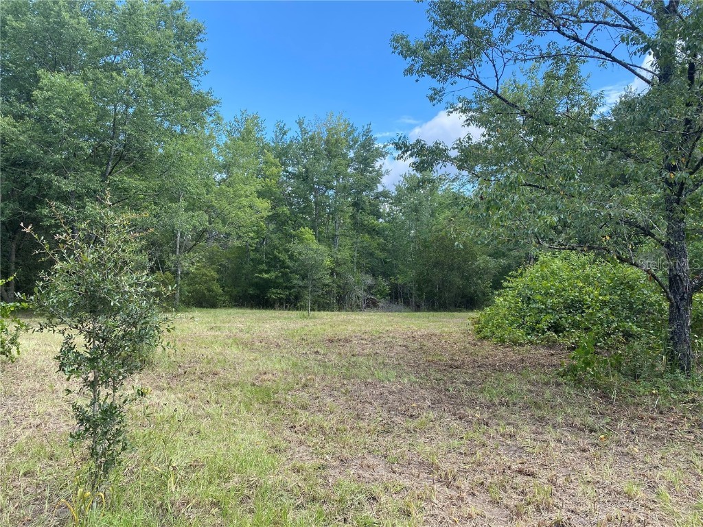 18802 NE 9th Drive Gainesville FL 32609 GC514286 image1