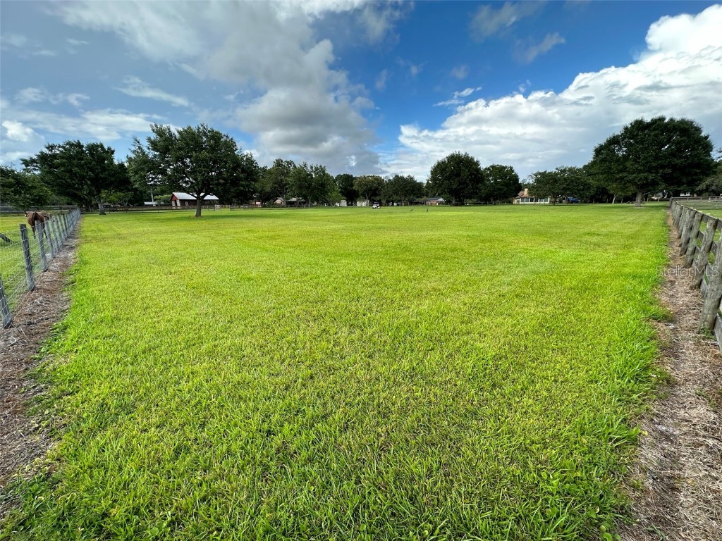 18803 Dorman Road Lithia FL 33547 TB8403346 image11