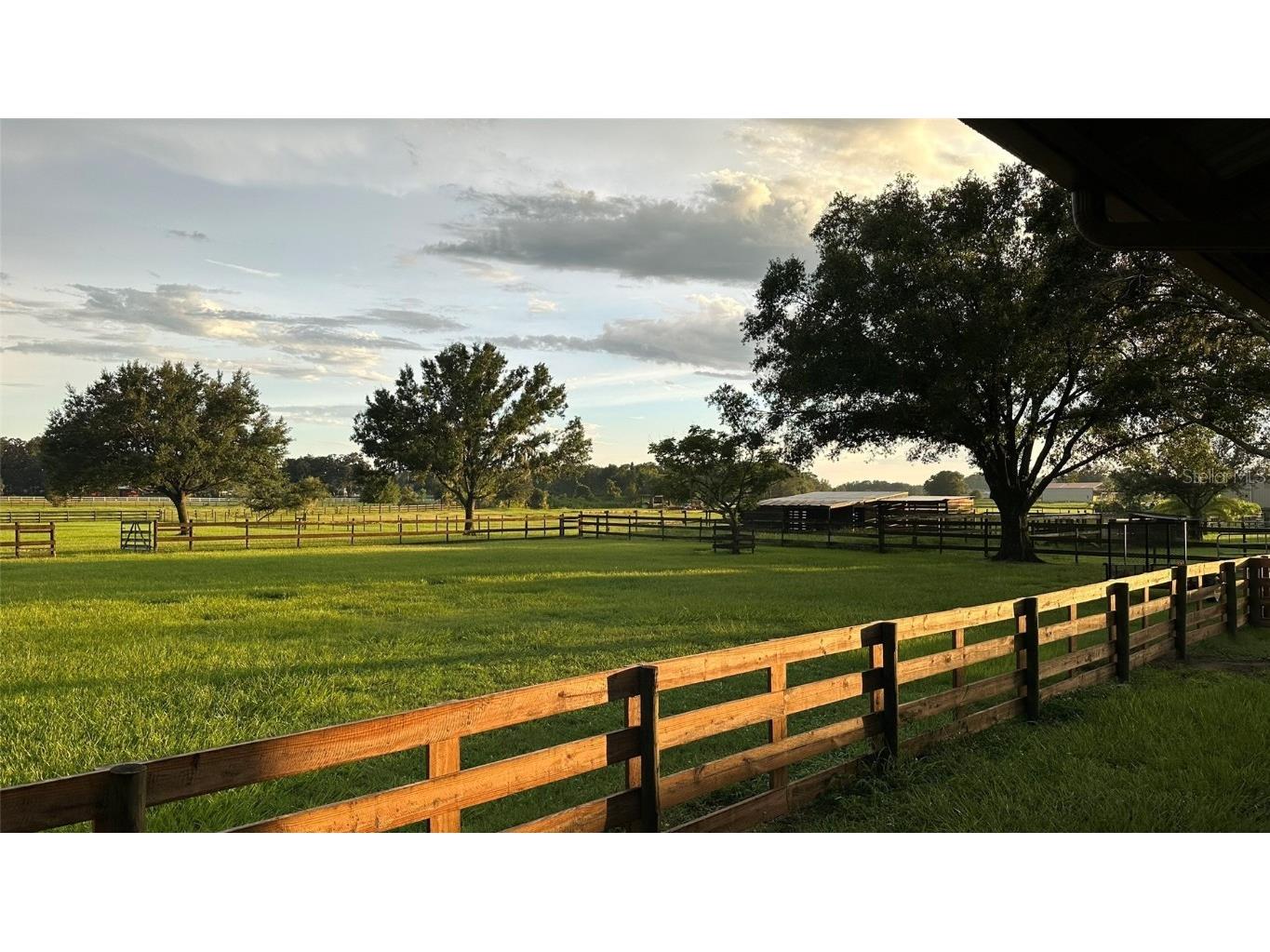 18803 Dorman Road Lithia FL 33547 TB8403346 image12