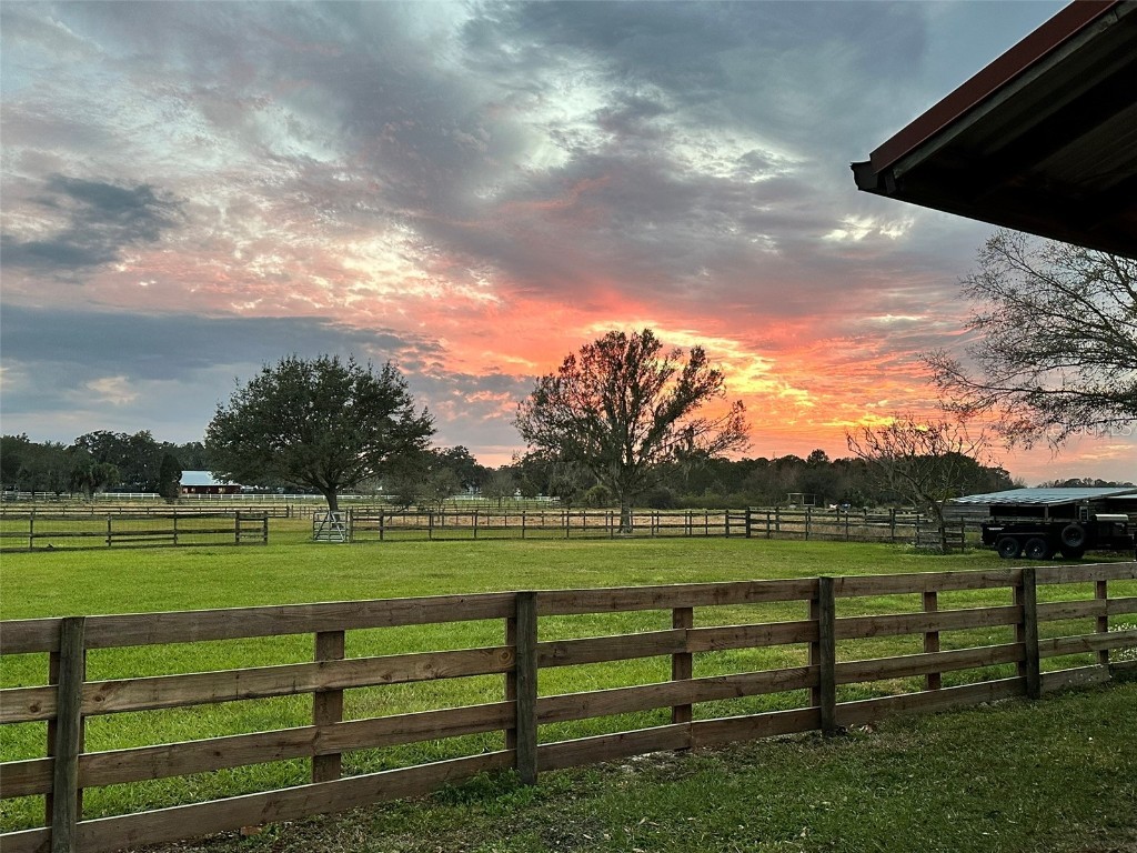 18803 Dorman Road Lithia FL 33547 TB8403346 image13