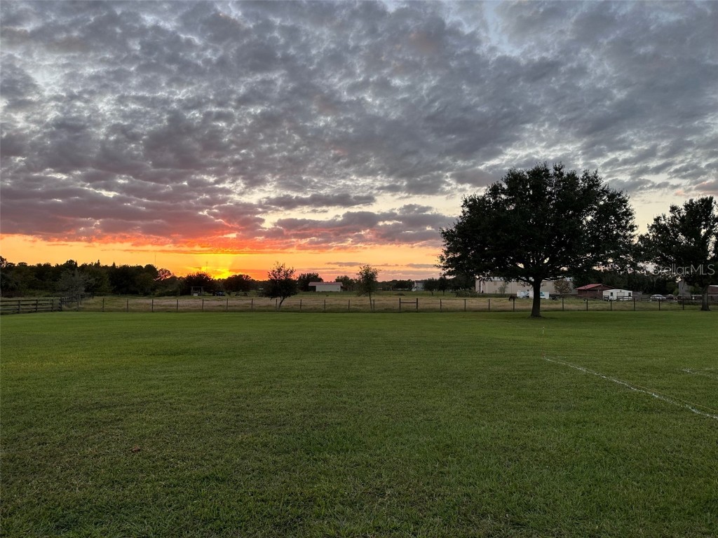 18803 Dorman Road Lithia FL 33547 TB8403346 image7