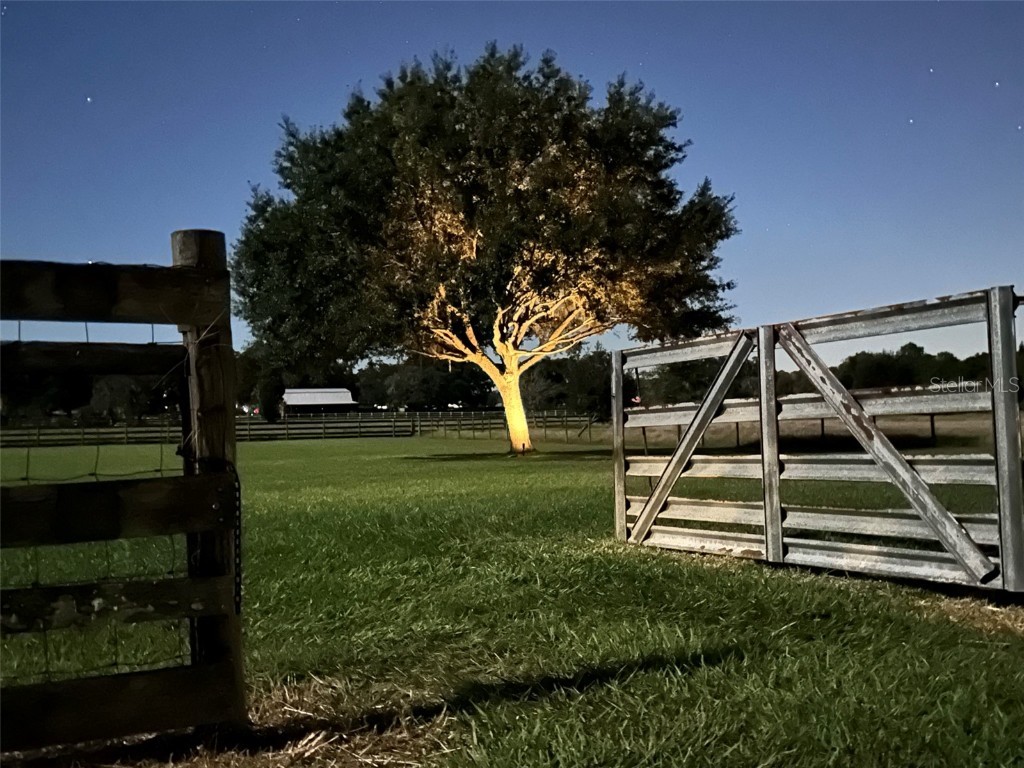 18803 Dorman Road Lithia FL 33547 TB8403346 image9