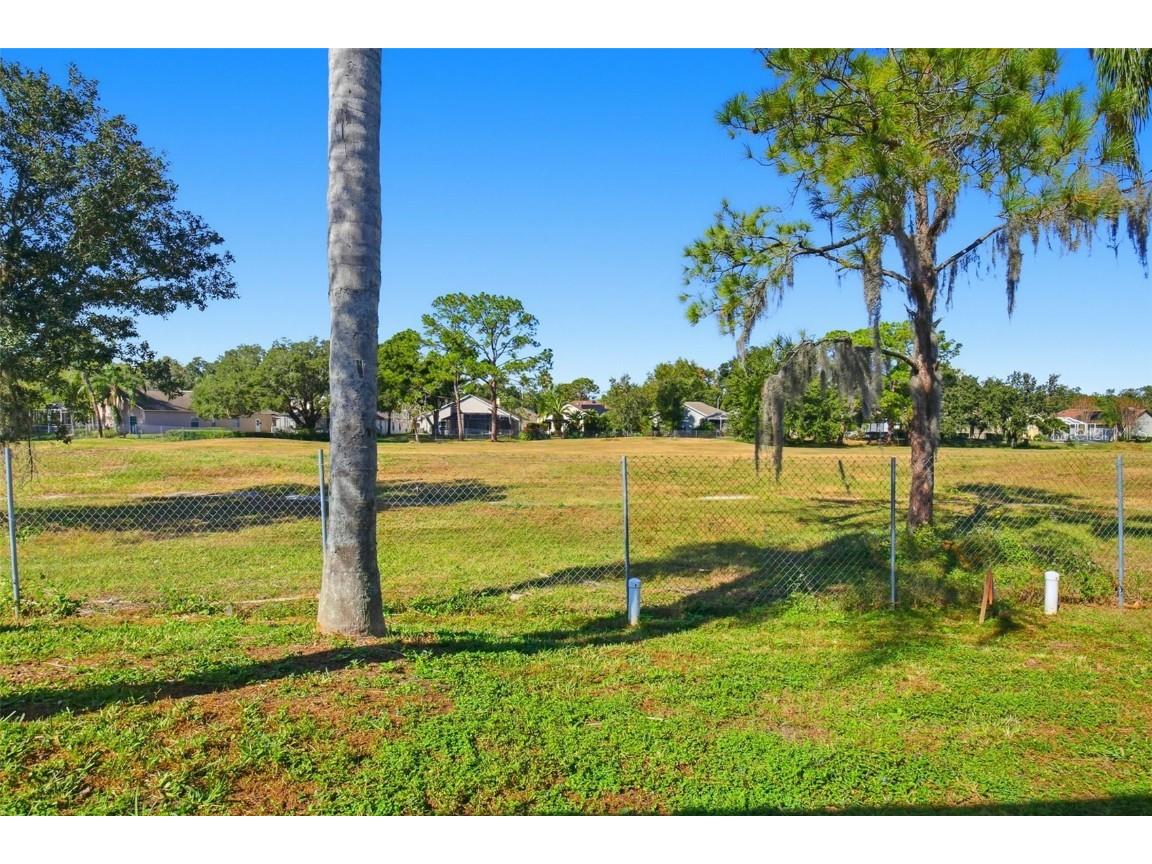 18804 Forest Glen Court Tampa FL 33647 O6363138 image41