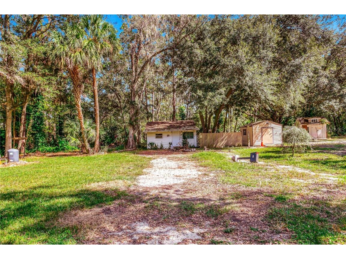 18805 Carr Drive Lutz FL 33559 T3413544 image1