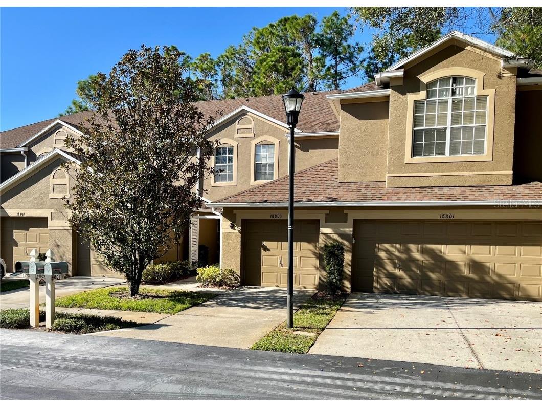 18805 Duquesne Drive Tampa FL 33647 TB8434829 image1