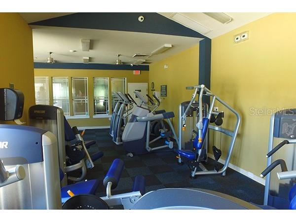 18805 Duquesne Drive Tampa FL 33647 TB8434829 image28