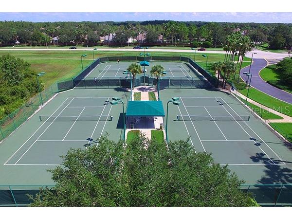 18805 Duquesne Drive Tampa FL 33647 TB8434829 image29