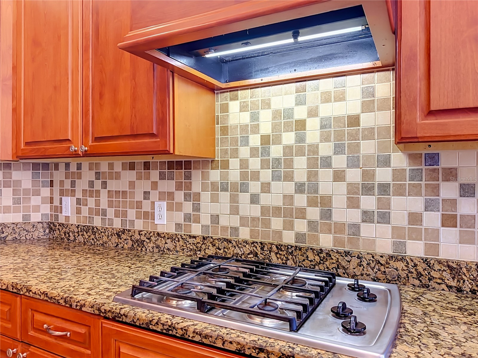 18807 Northrop Street Orlando FL 32833 O6417328 image14