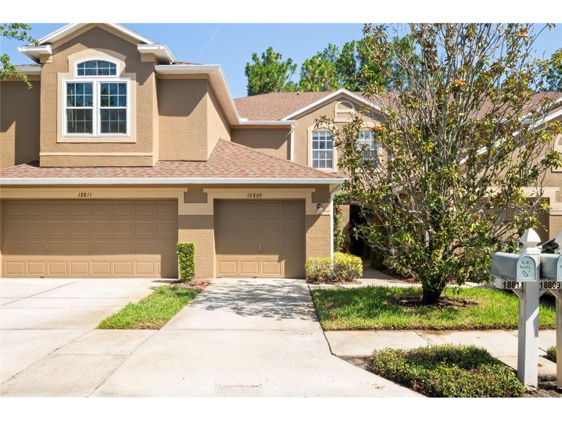 18809 Duquesne Drive Tampa FL 33647 TB8396519 image1