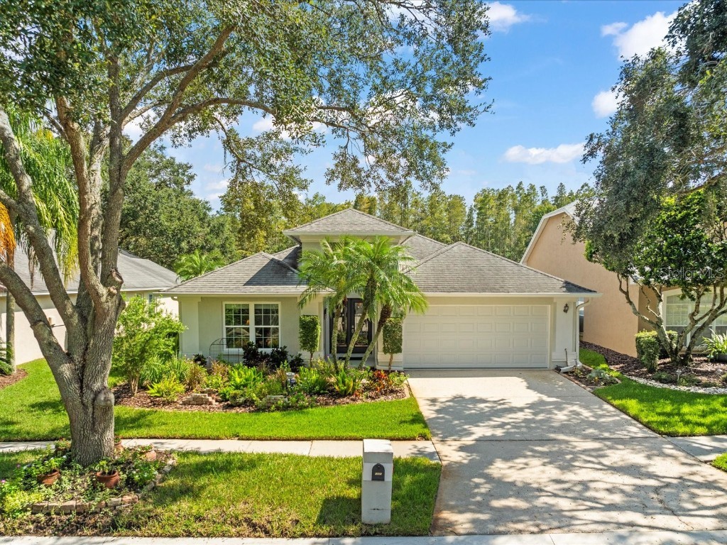 18809 Rue Loire Lutz FL 33558 TB8309858 image1