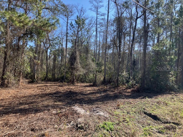 1881 Hazelnut Street Bunnell FL 32110 FC315893 image2