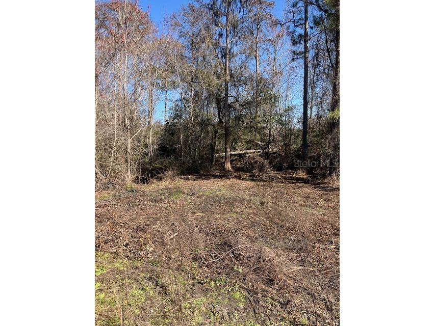 1881 Hazelnut Street Bunnell FL 32110 FC315893 image4
