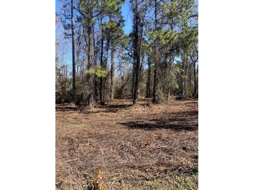 1881 Hazelnut Street Bunnell FL 32110 FC315893 image5