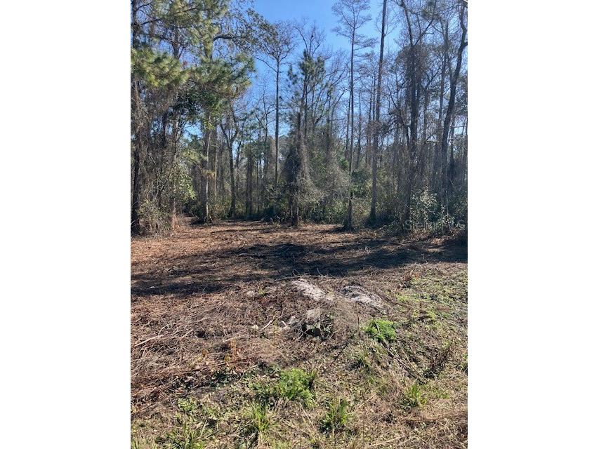 1881 Hazelnut Street Bunnell FL 32110 FC315893 image6