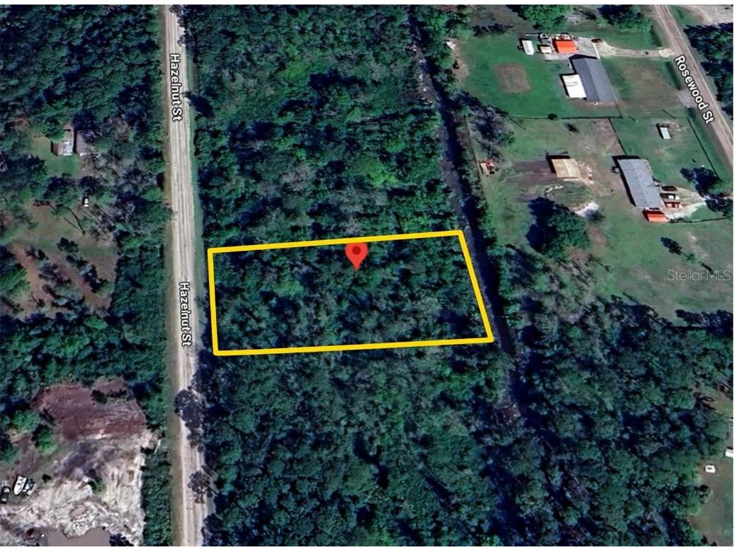 1881 Hazelnut Street Bunnell FL 32110 O6205161 image1