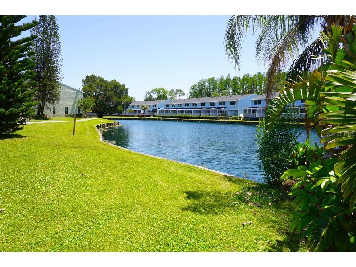 1881 Mazo Manor #I-2 Lutz FL 33558 W7878950 image25