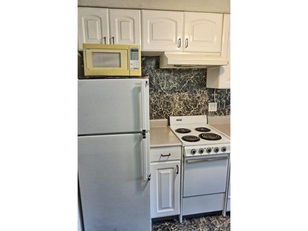 1881 Mazo Manor #I-2 Lutz FL 33558 W7878950 image7