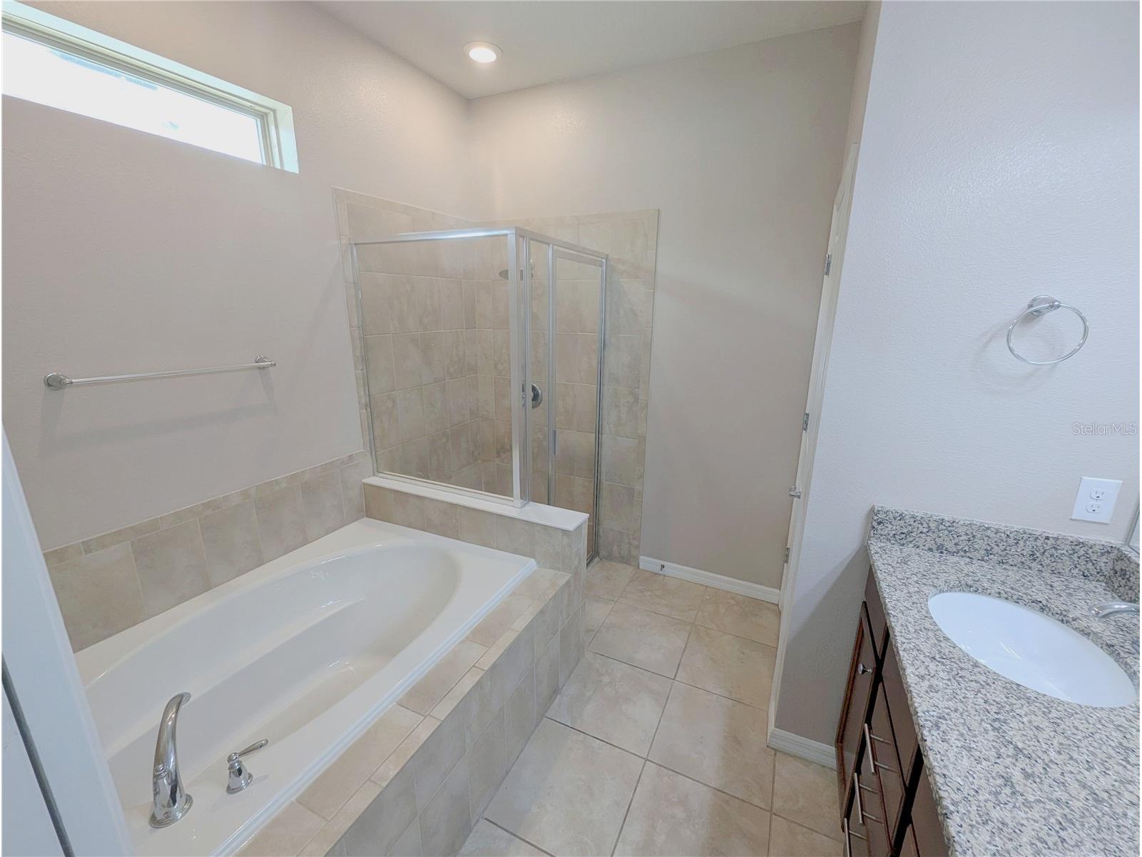 18810 Birchwood Groves Drive Lutz FL 33558 TB8502255 image16