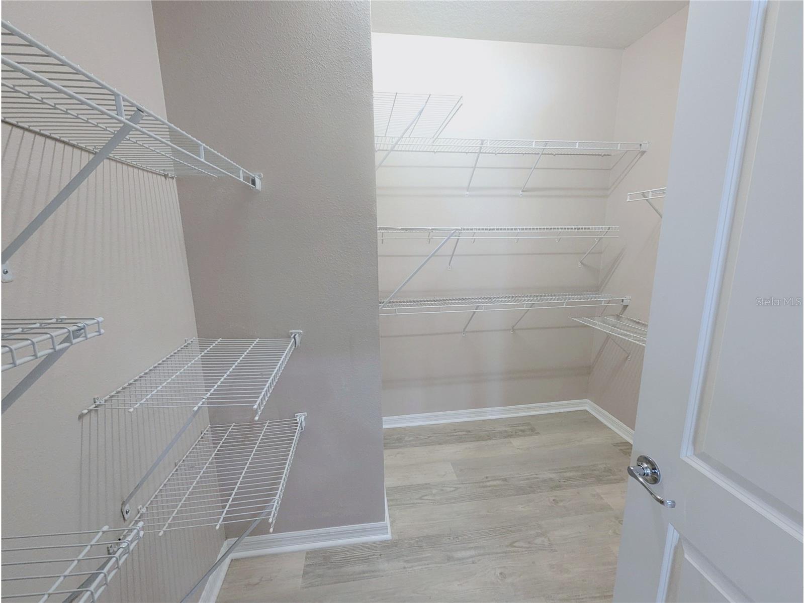 18810 Birchwood Groves Drive Lutz FL 33558 TB8502255 image18