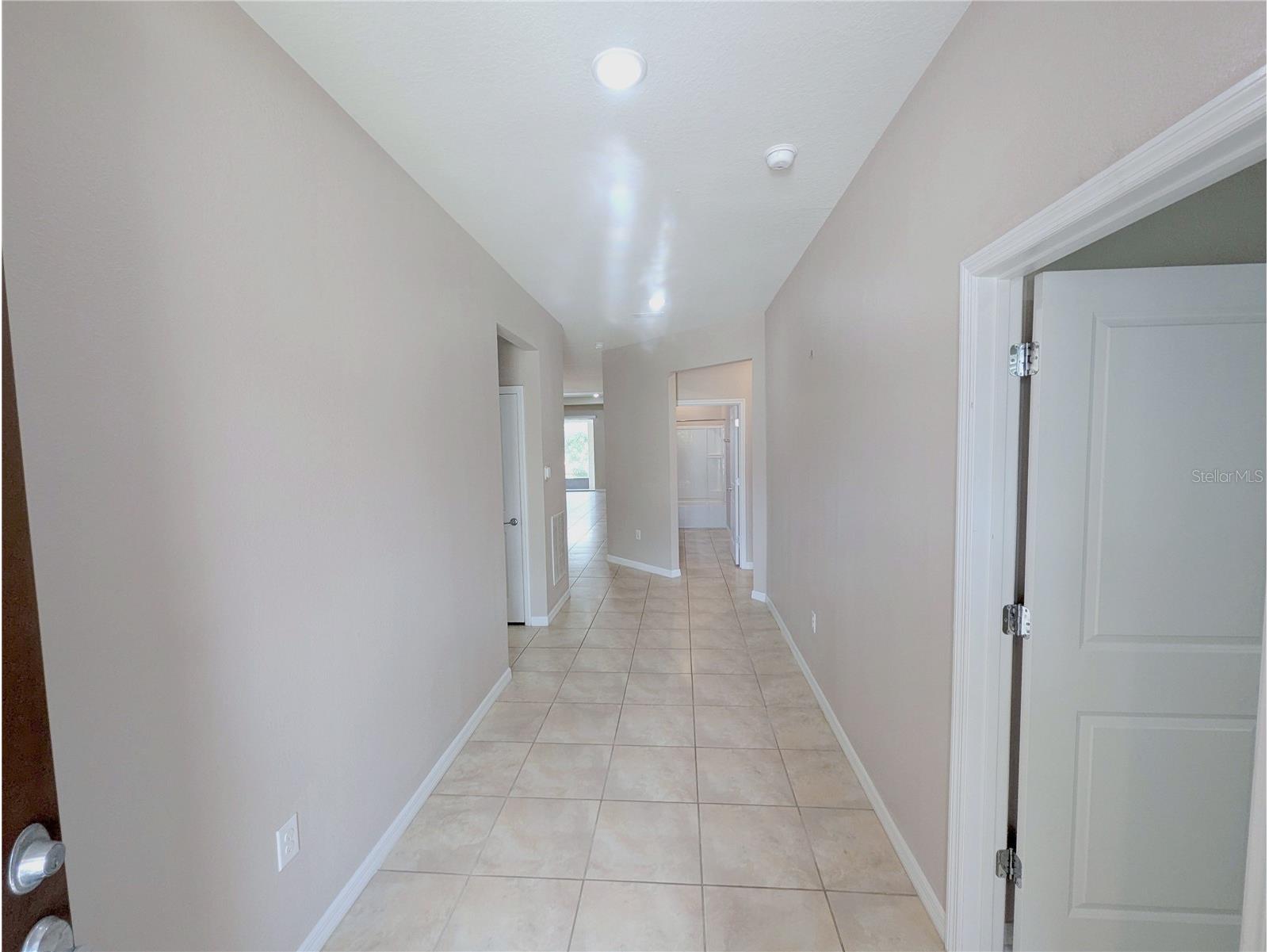18810 Birchwood Groves Drive Lutz FL 33558 TB8502255 image24