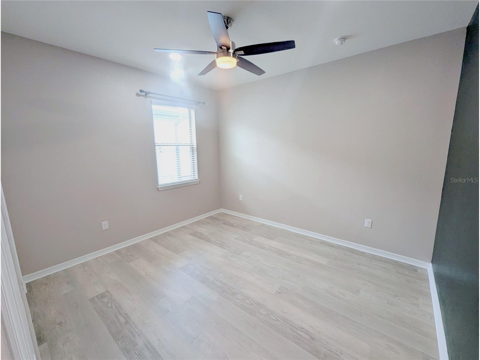 18810 Birchwood Groves Drive Lutz FL 33558 TB8502255 image33