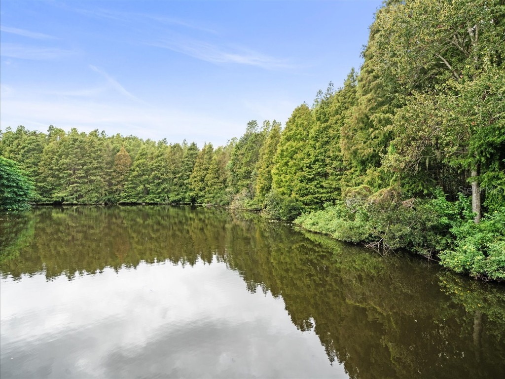 18810 Place Antibes Lutz FL 33558 TB8437632 image10