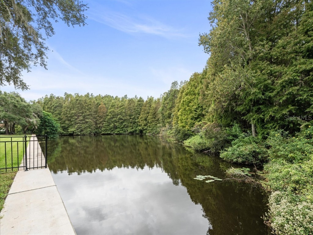 18810 Place Antibes Lutz FL 33558 TB8437632 image11