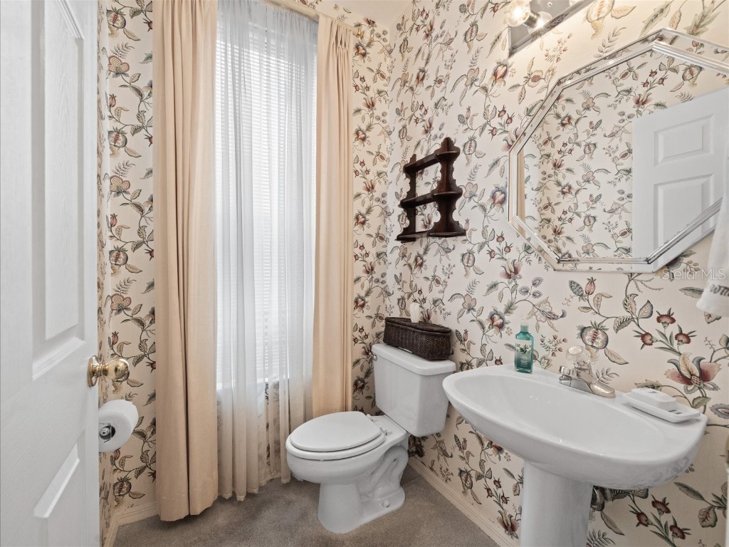 18810 Place Antibes Lutz FL 33558 TB8437632 image22