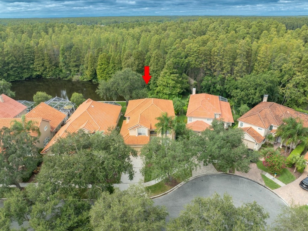 18810 Place Antibes Lutz FL 33558 TB8437632 image3