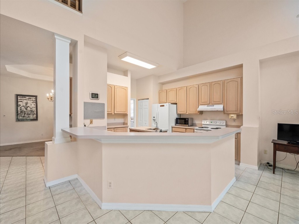 18810 Place Antibes Lutz FL 33558 TB8437632 image32