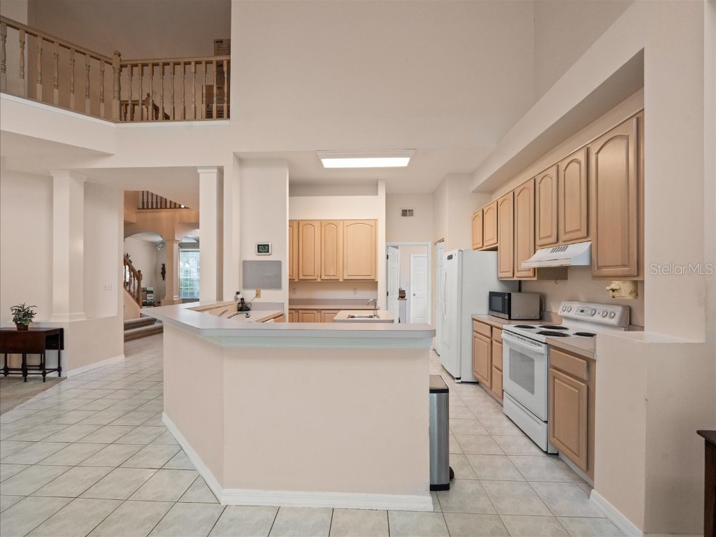 18810 Place Antibes Lutz FL 33558 TB8437632 image33