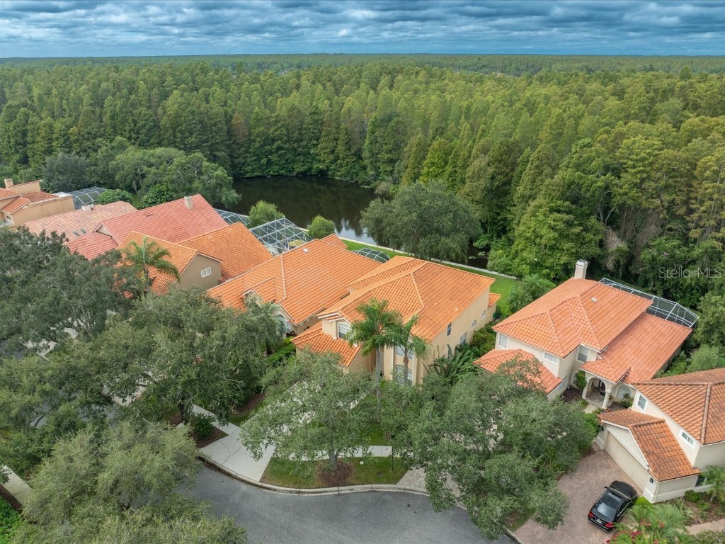 18810 Place Antibes Lutz FL 33558 TB8437632 image4