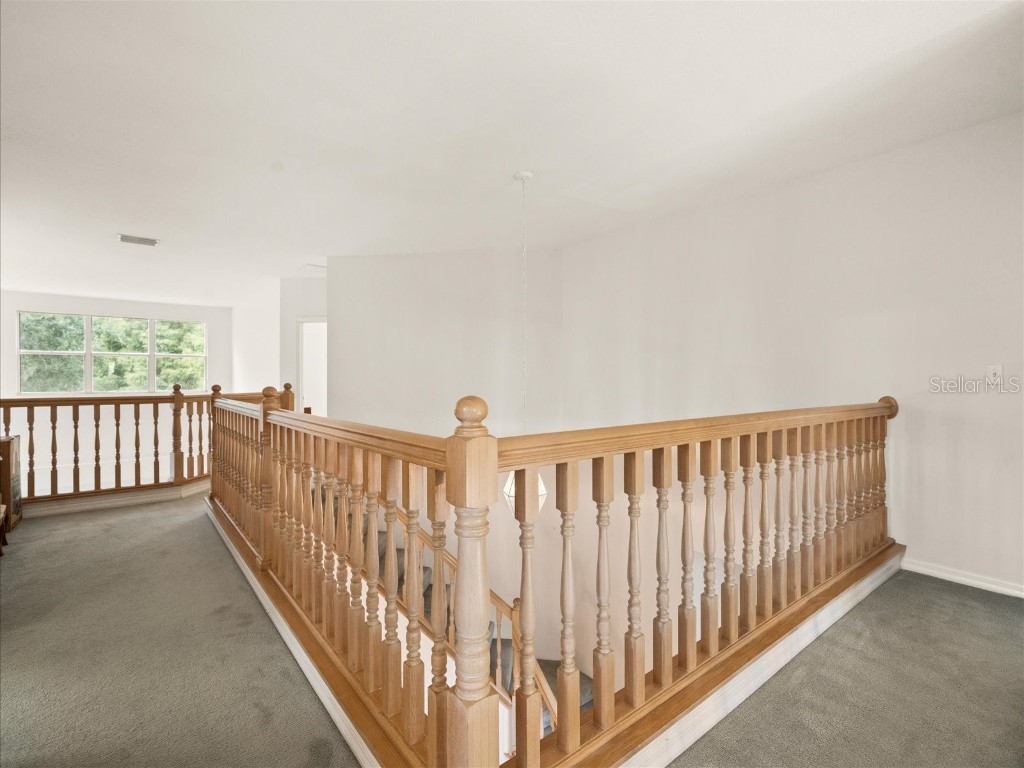 18810 Place Antibes Lutz FL 33558 TB8437632 image46