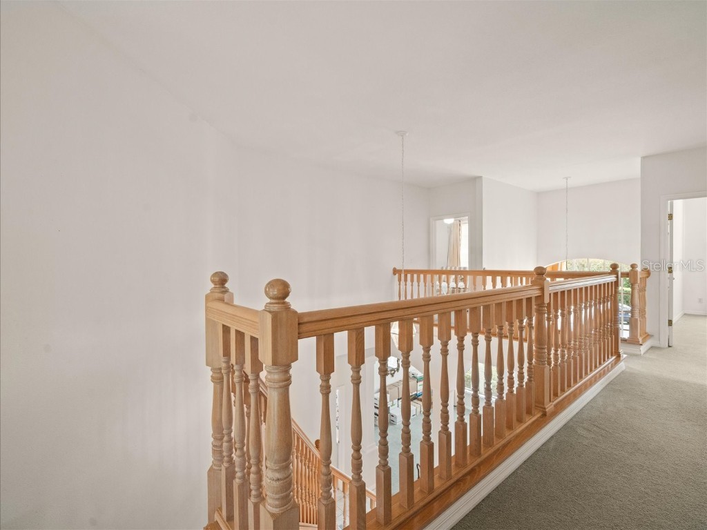 18810 Place Antibes Lutz FL 33558 TB8437632 image47