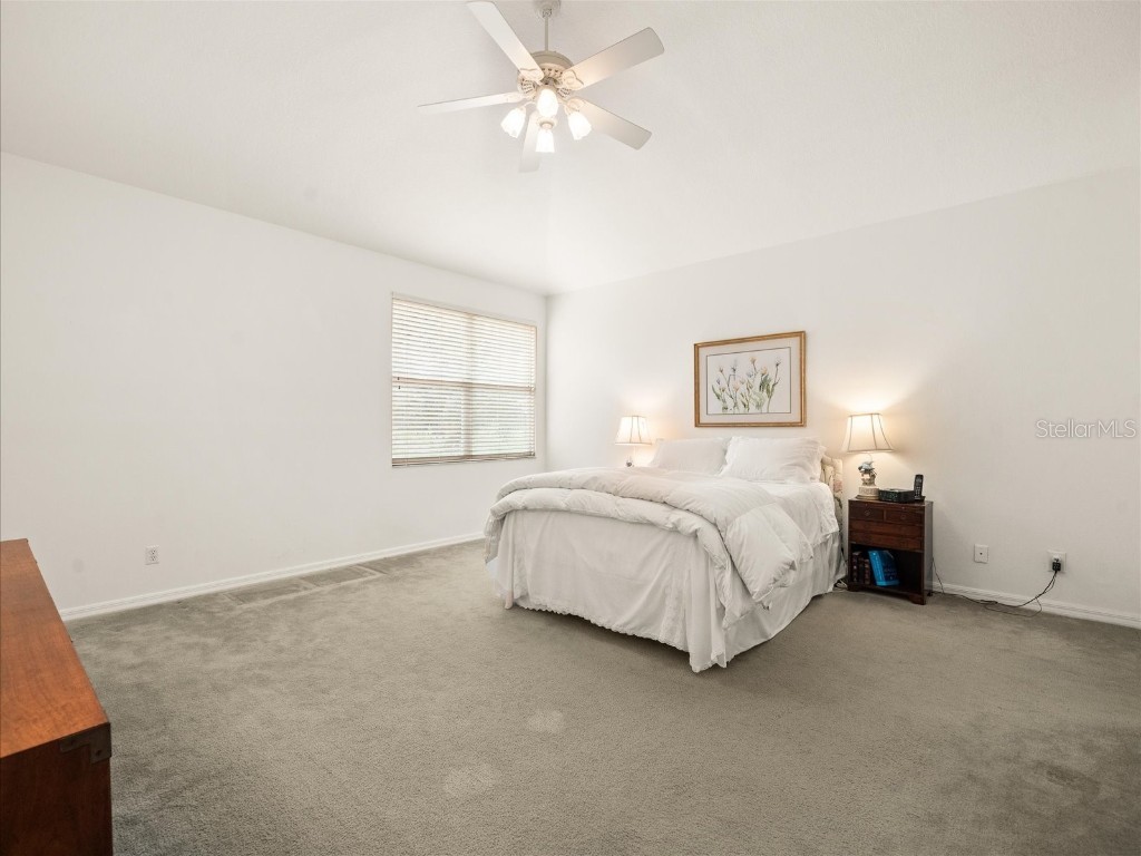 18810 Place Antibes Lutz FL 33558 TB8437632 image48